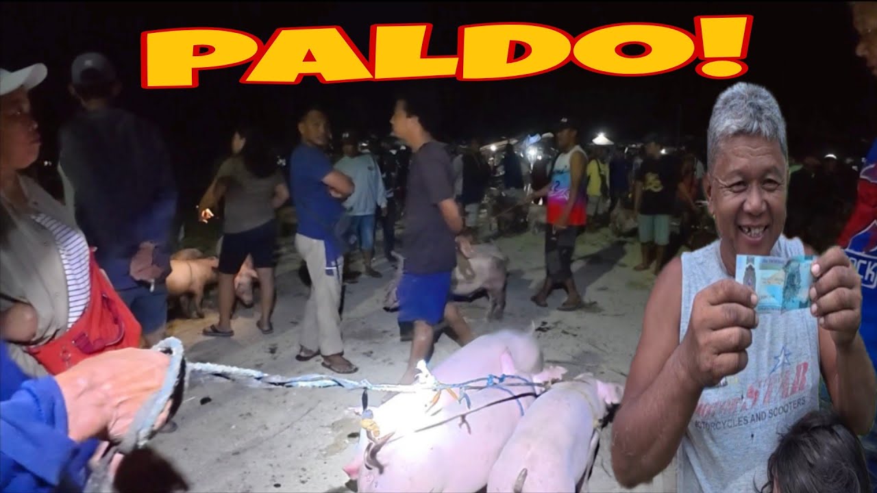 HINDI INAASAHANG BIYAYA!+NAGBENTA KAMI NG TATLONG BIIK @JaperSniperOfficial @burdzjason2097 