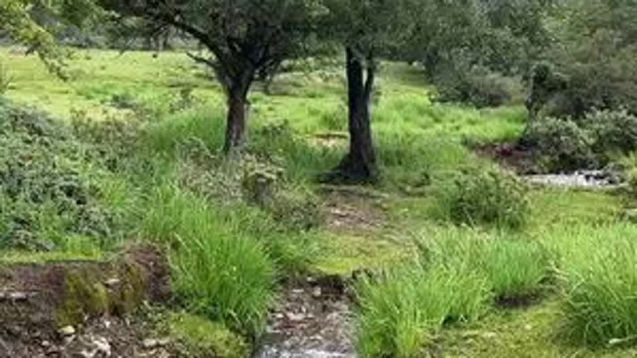 虽然不是什么景点，却有不期而遇的惊喜#大山深处自然美 #致生活