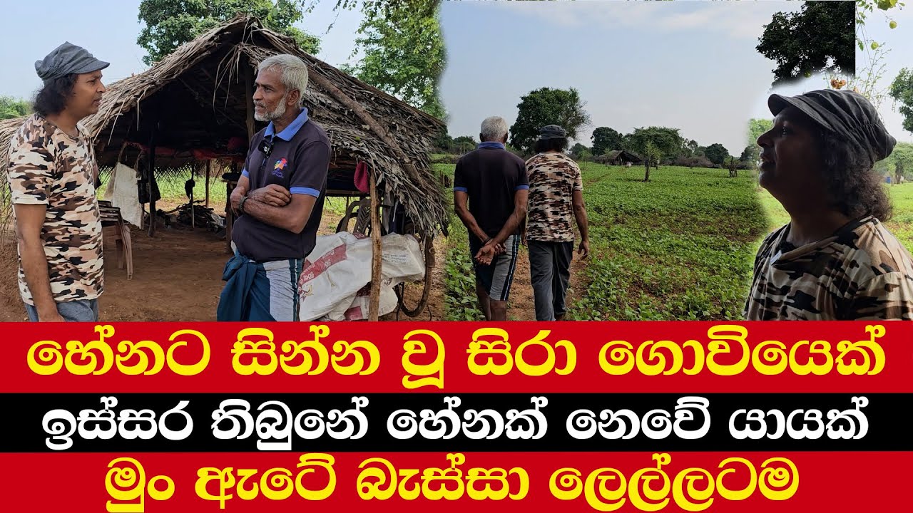 හේනට සින්න වූ සිරා ගොවියෙක් | ඉස්සර තිබුනේ හේනක් නෙවේ යායක් | මුං ඇටේ බැස්සා ලෙල්ලටම