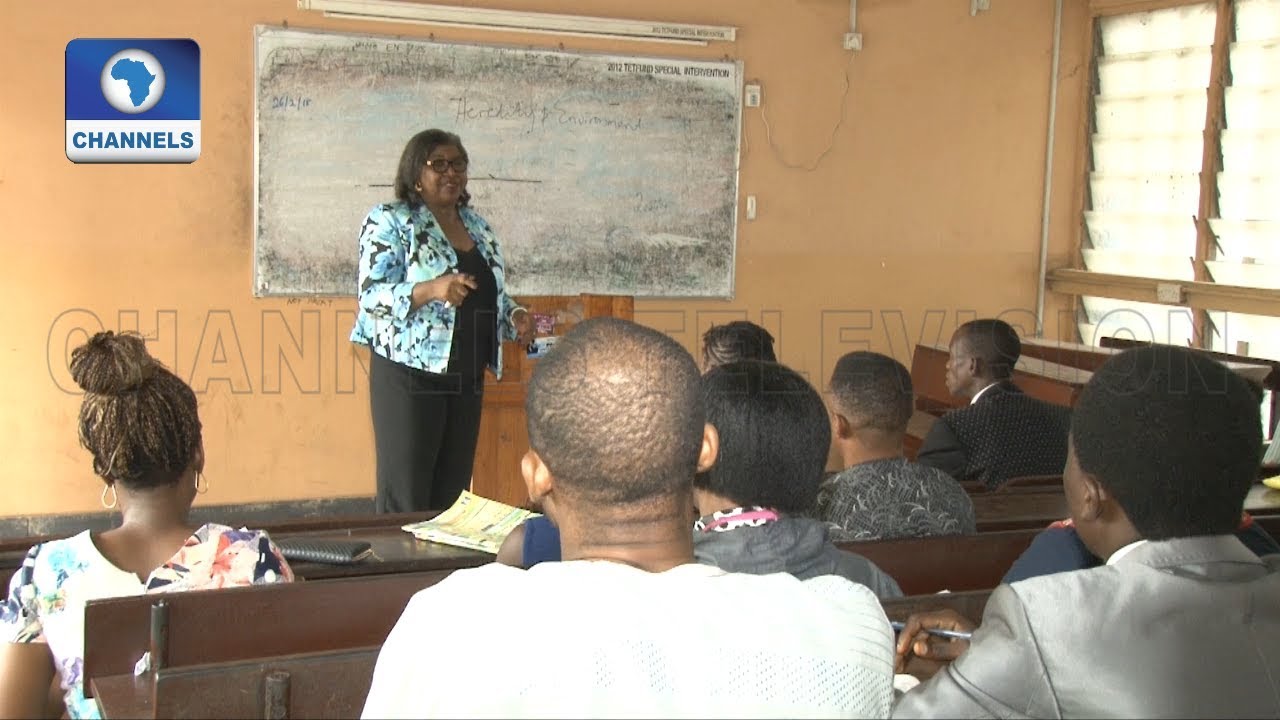 Focus On Teachers In Nigeria Pt.2 |Community Report|