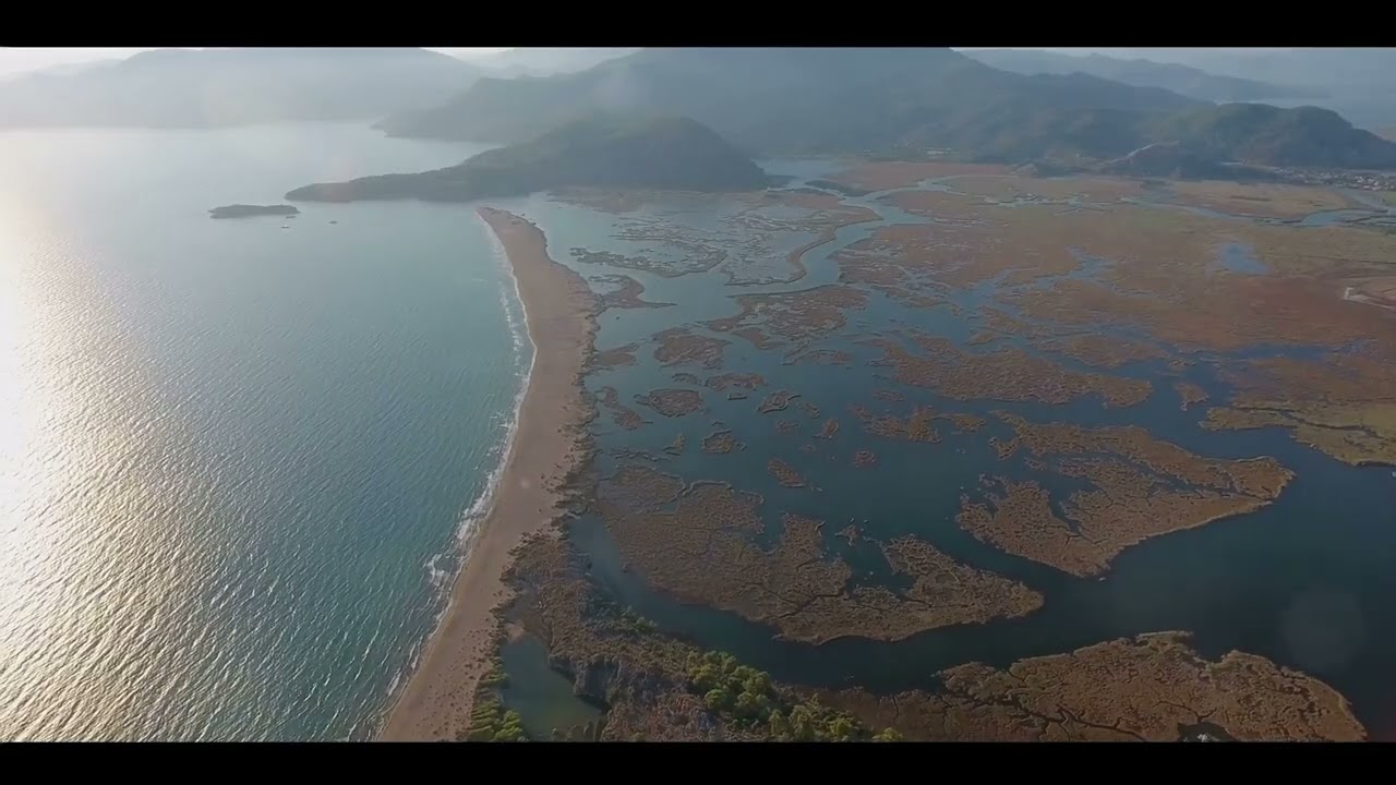 Difference Between a Delta an Estuary?