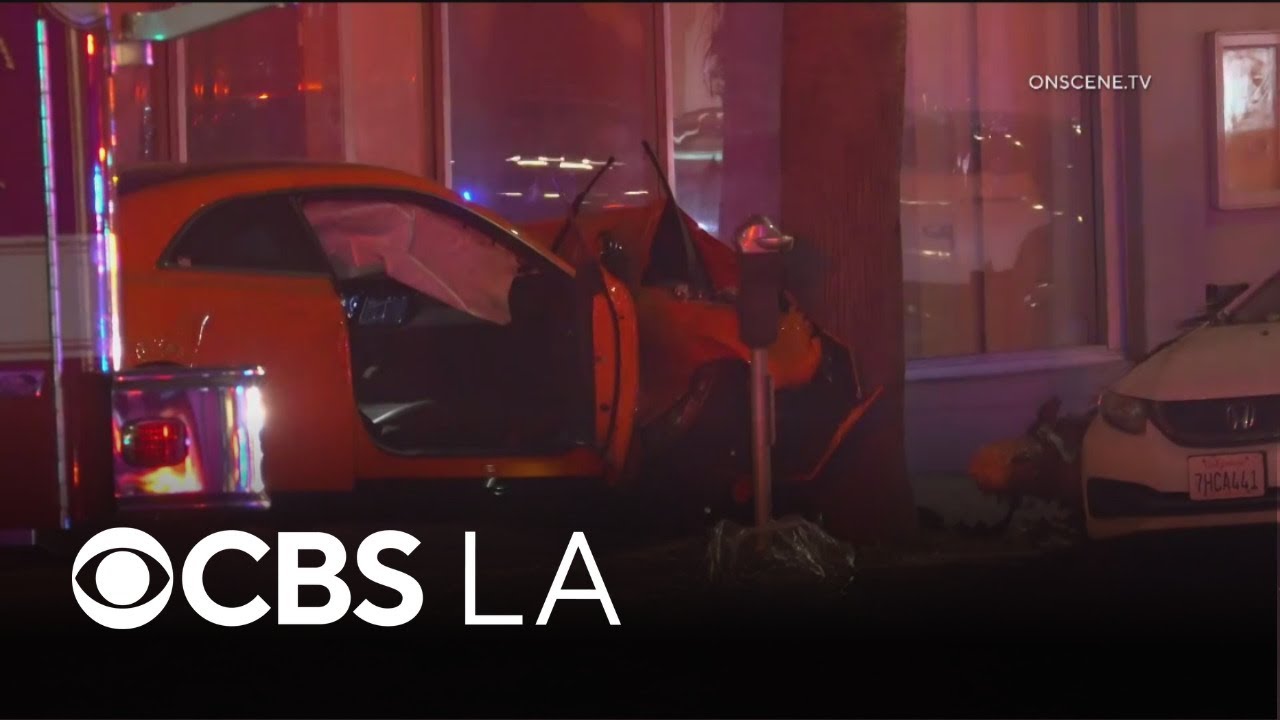 Two killed in hit and run crash in Santa Monica