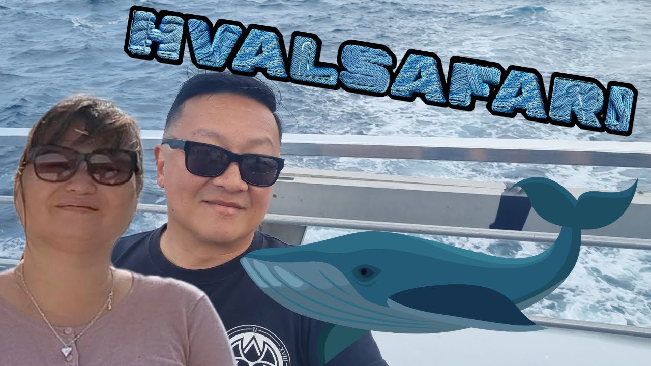 Hvalsafari - Sydney