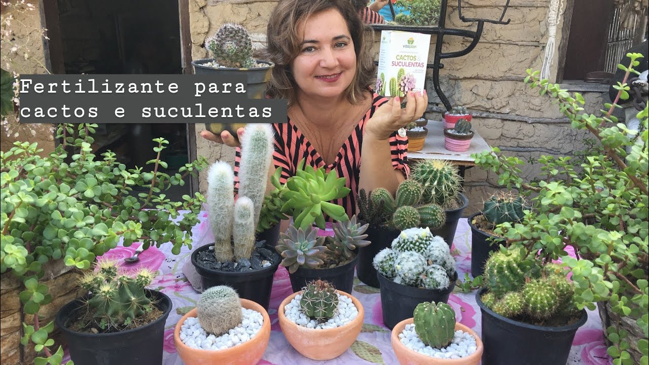 Cactos e Suculentas Belíssimos com esse Fertilizante Poderoso