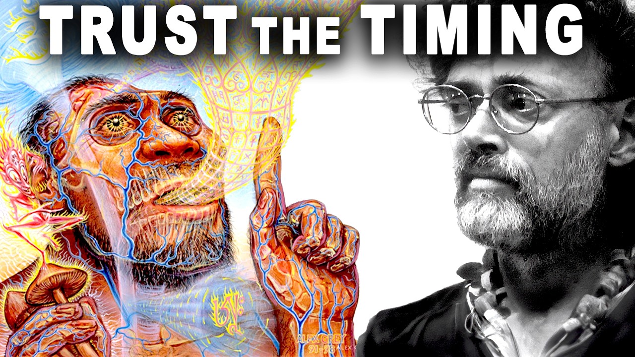 Carl Jung's Synchronicity Explained By Terence McKenna