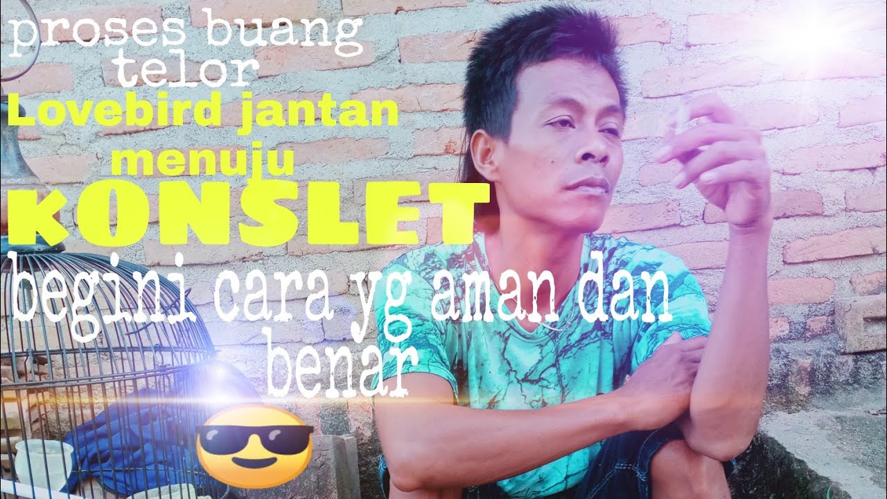 CARA BUANG TELOR JANTAN MENUJU KONSLET YG BAIK DAN BENAR