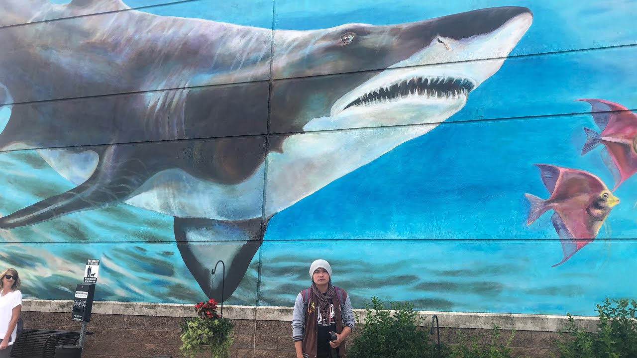Newport Aquarium Full Tour -Newport Kentucky 2022