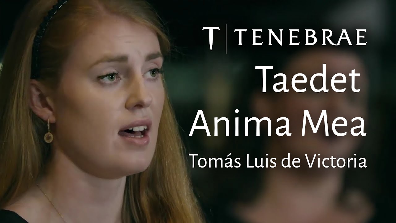 Taedet Anima Mea - Victoria - Tenebrae conducted by Nigel Short