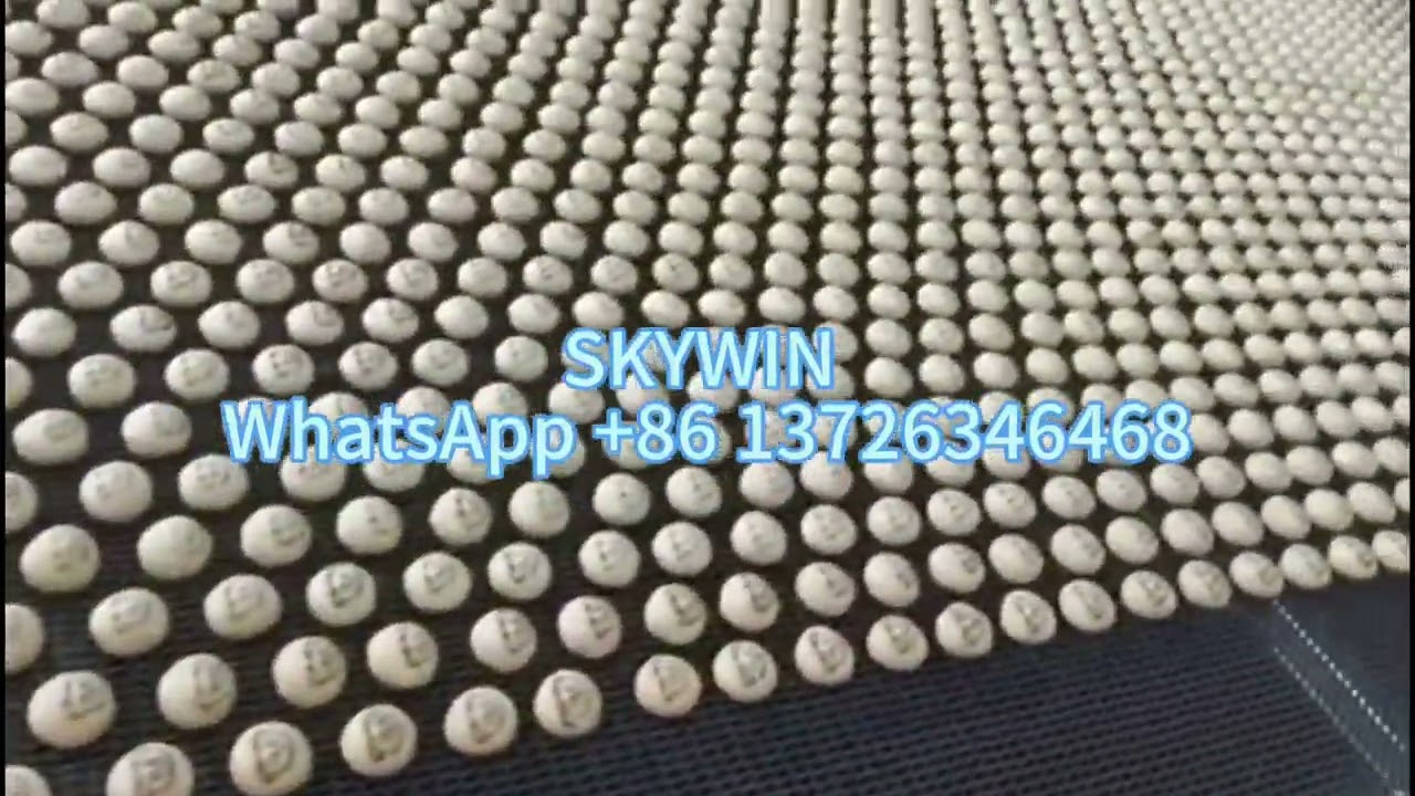 SKYWIN Capacity 800kg/hour Chocolate filled hello panda biscuits production line🤩