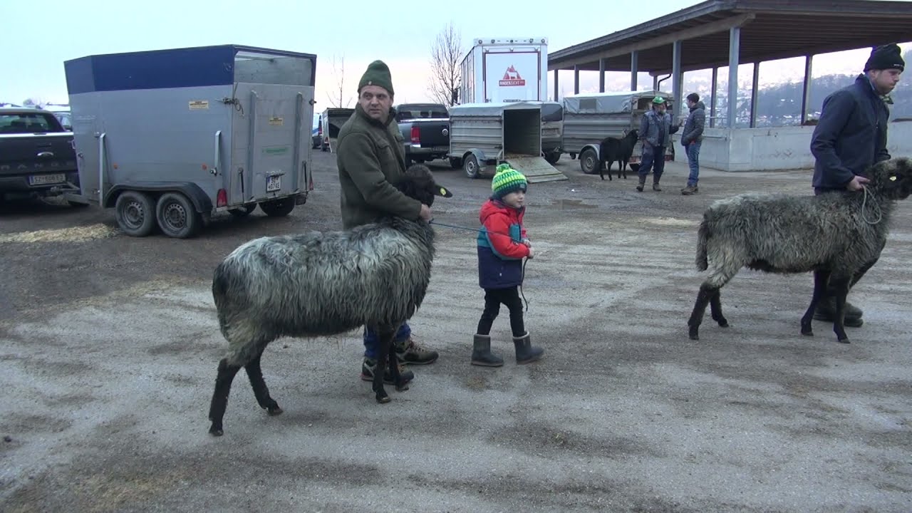 Vorbereitung & Einladung zur Eliteversteigerung 2022
