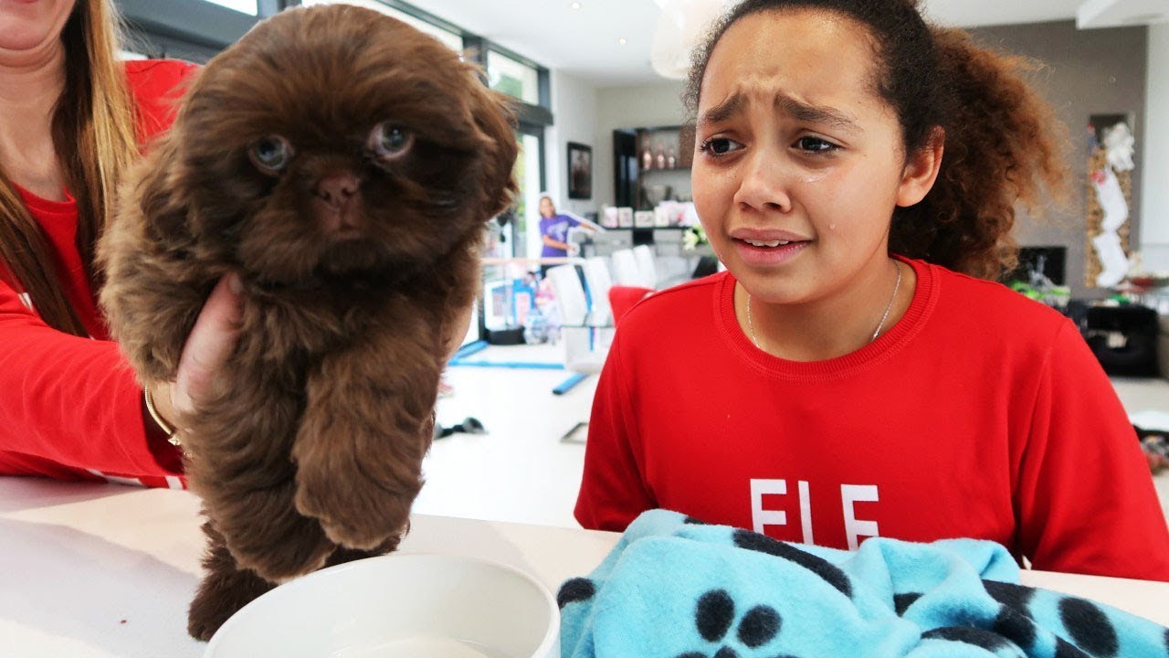 TIANA CRIED!! CHRISTMAS PUPPY SURPRISE