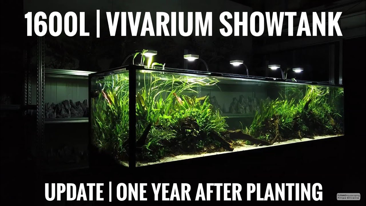 1600L | 300x75x75 | Vivarium 2018 Showtank @ Aquaflora
