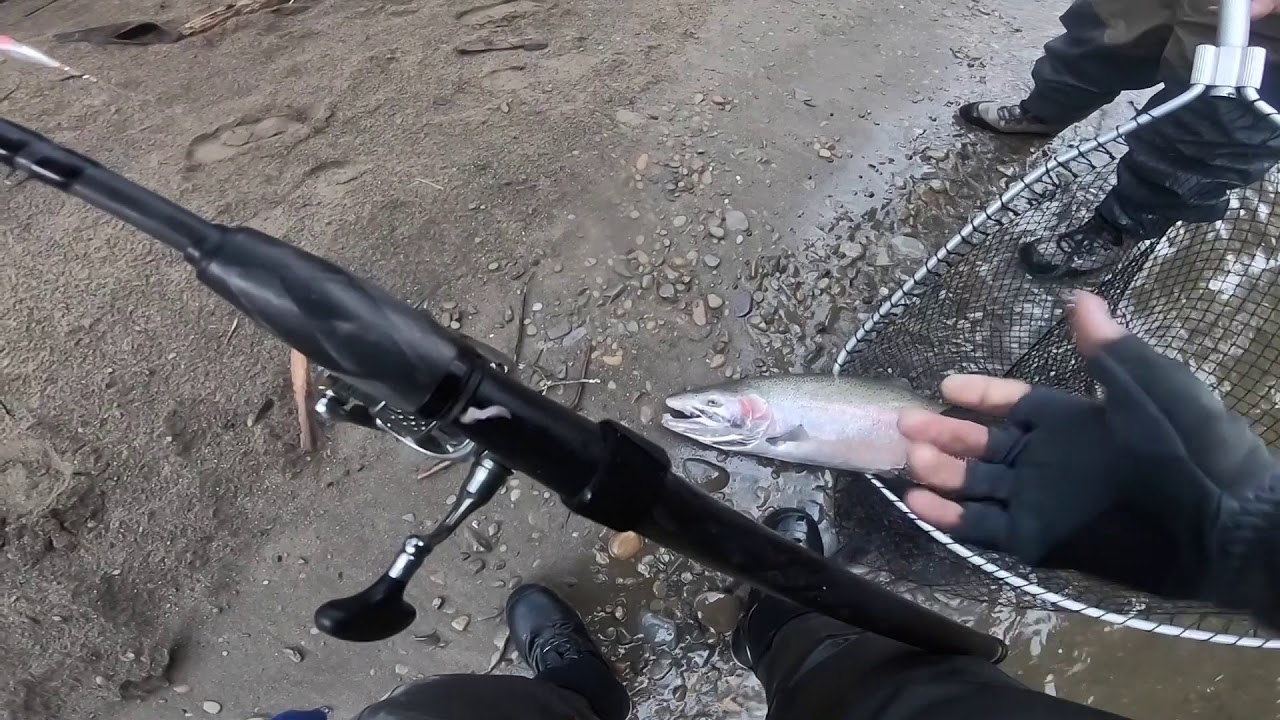 Best Steelhead Rivers of The World Quinault Nation centerpin and spinning bobber fishing