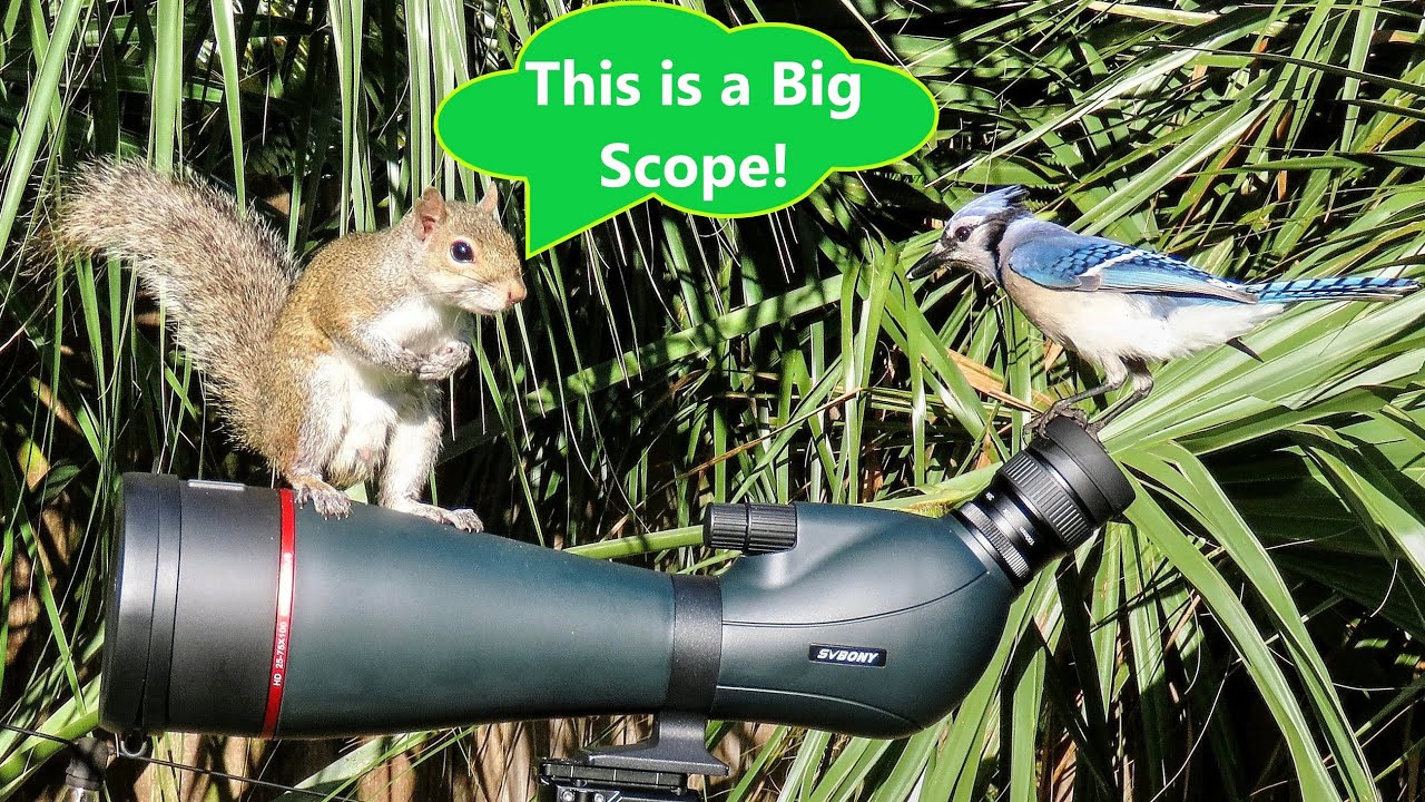 SVBony SV406 25-75x100 HD Dual Focusing Spotting Scope Review