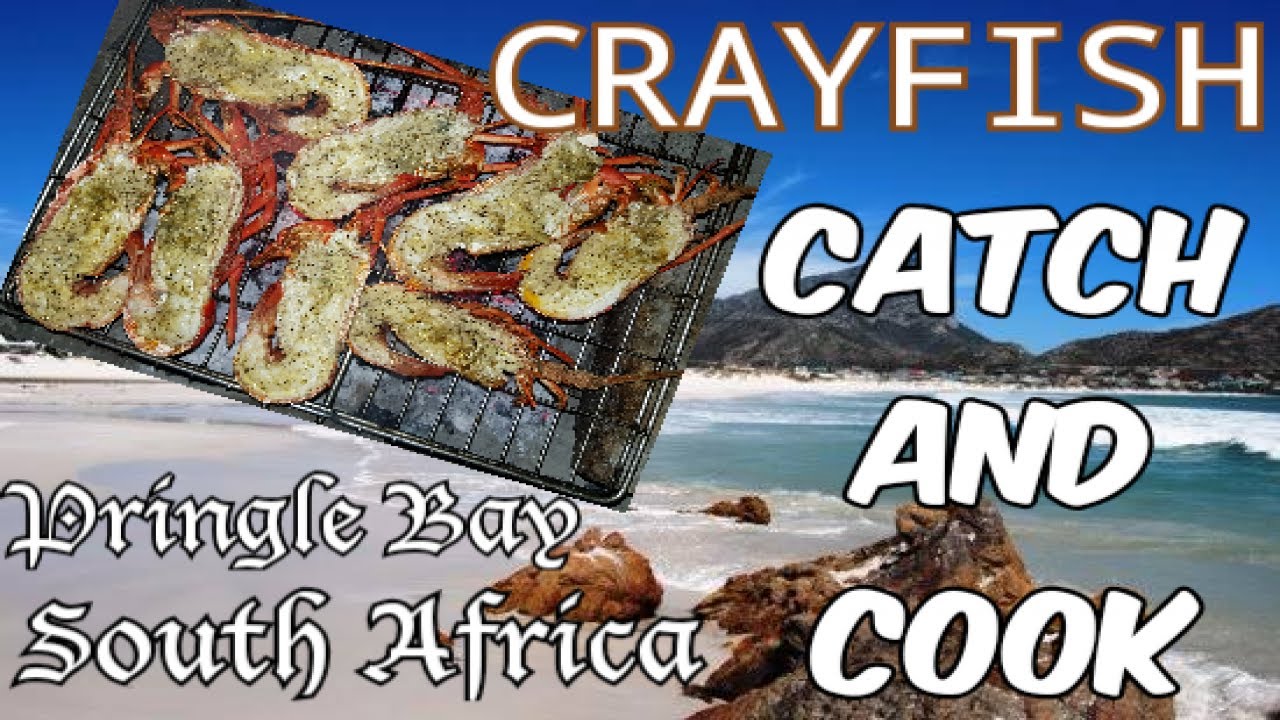 Crayfish Catch And Cook | West Coast Rock Lobster In Pringle Bay South Africa