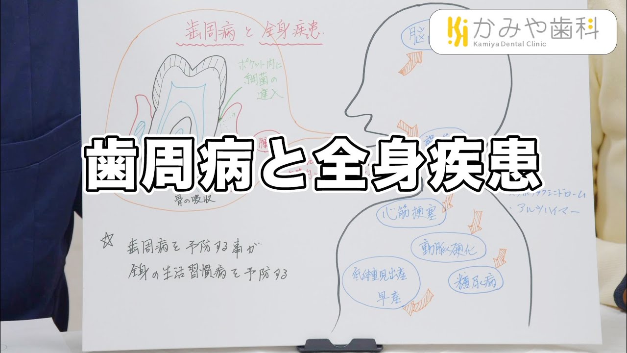 歯周病と全身疾患｜かみや歯科