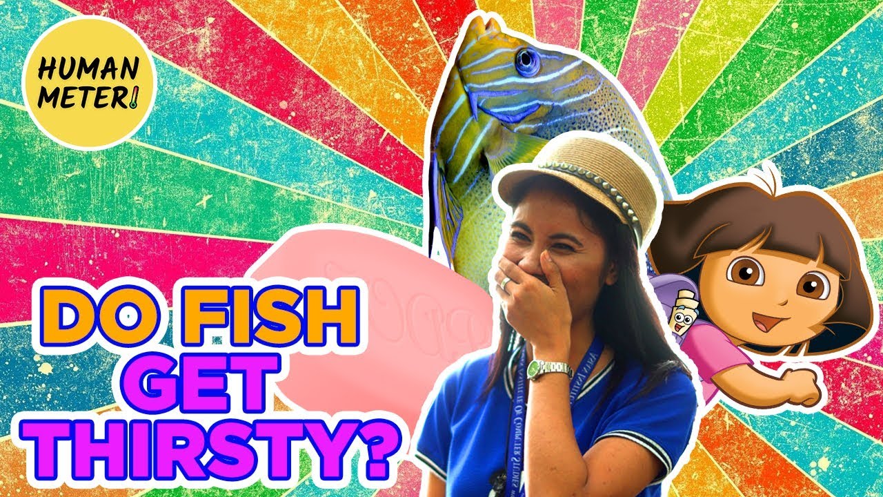 Do Fish Get Thirsty??? 😂😀😜 Filipinos Answer Tricky Questions Tagalog | HumanMeter