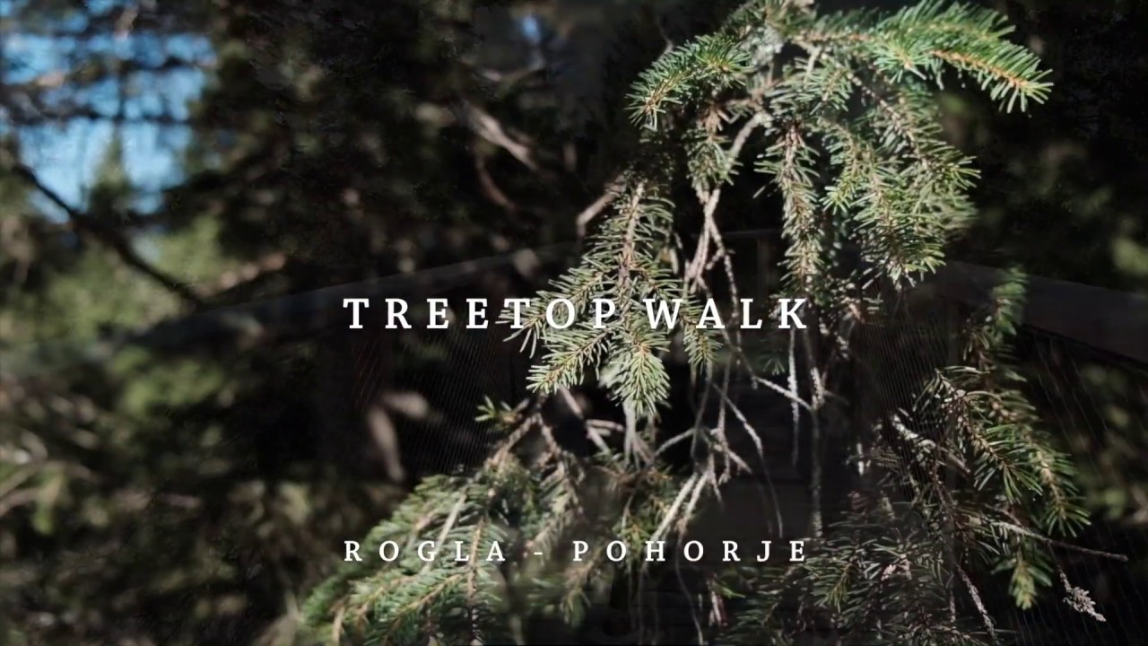 The Tree Top Walk in Rogla, Slovenia