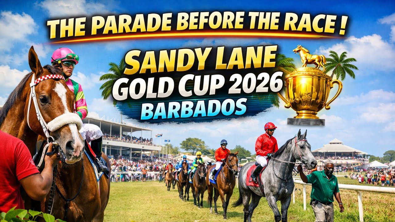 THE PARADE BEFORE THE RACE 🐎. | Horses Step Out for the Sandy Lane Gold Cup at Garrison Savannah.
