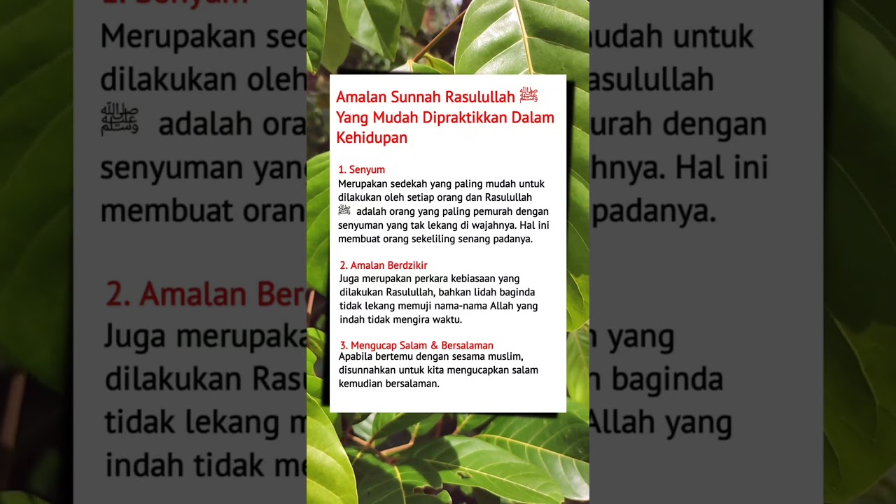 amalan sunnah Rasulullah SAW dalam kehidupan sehari-hari #shorts #rasulullah #storyislami