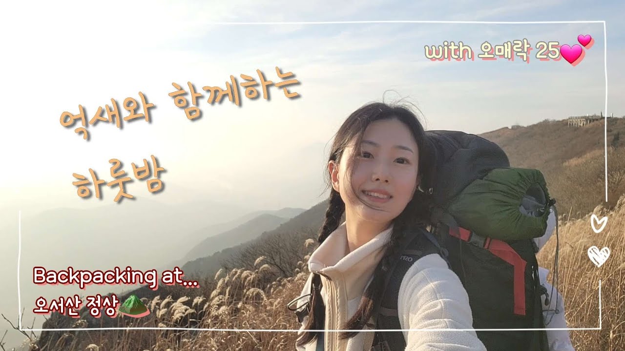 [Eng sub] 억새물결 오서산 백패킹 | 전통주 오매락25와 함께💕 | 오늘도솔캠 | Mt. Oseo backpacking | Solo-camping | Korean Drink