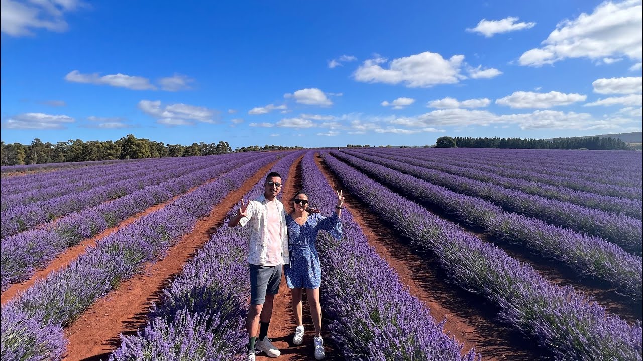 Tasmania Travel Vlog !! Hobart|| Bruny island || Launceston|| Australia Nepal Travel Vlog|