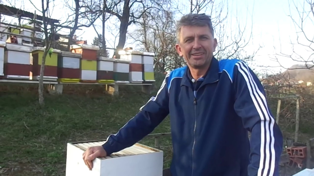 Kako početi sa pčelarstvom, video za pčelare početnike