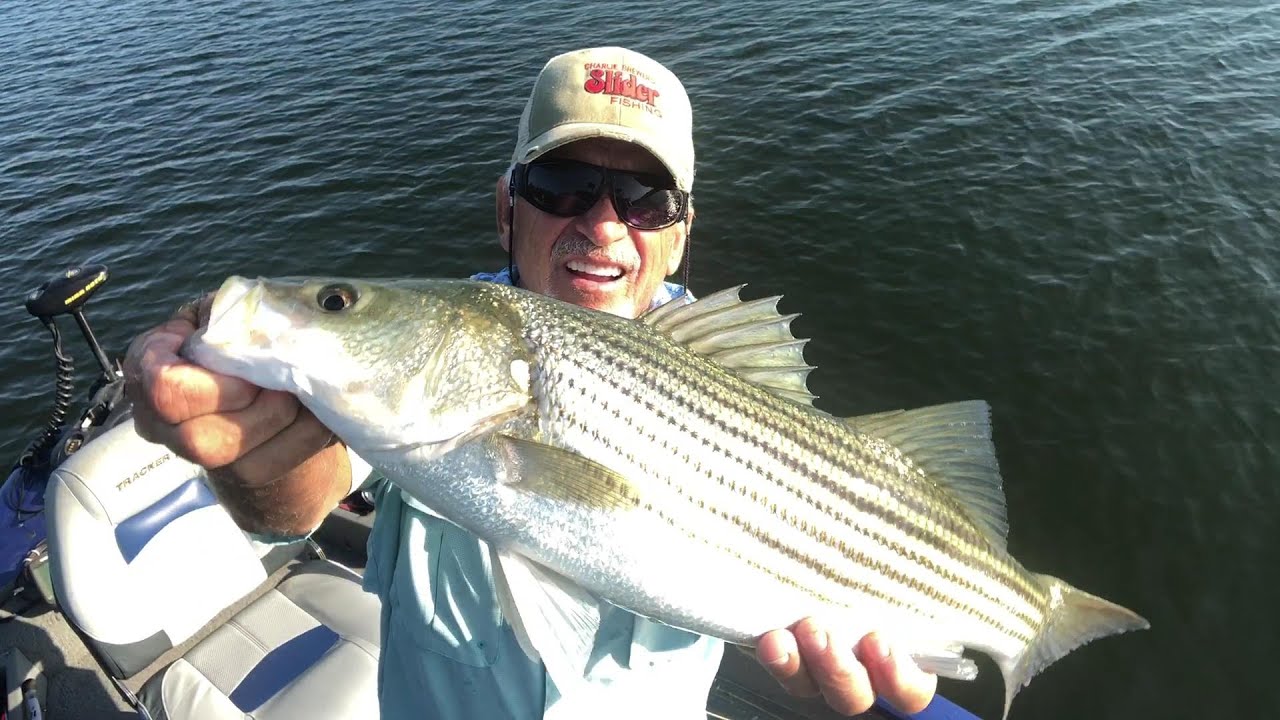 Lake Murray Stripers, Flutter Spoon Power Winding