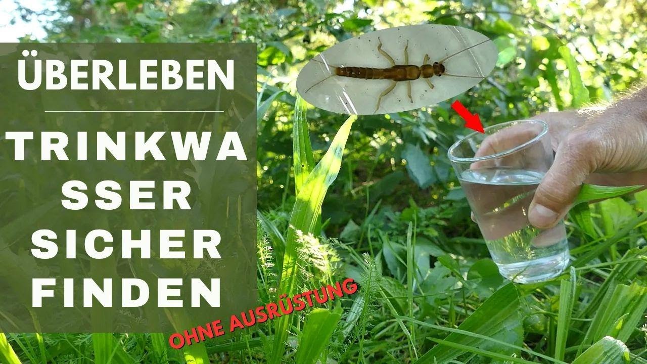 Trinkwasser finden: Survival-Tipps ganz ohne Ausrüstung