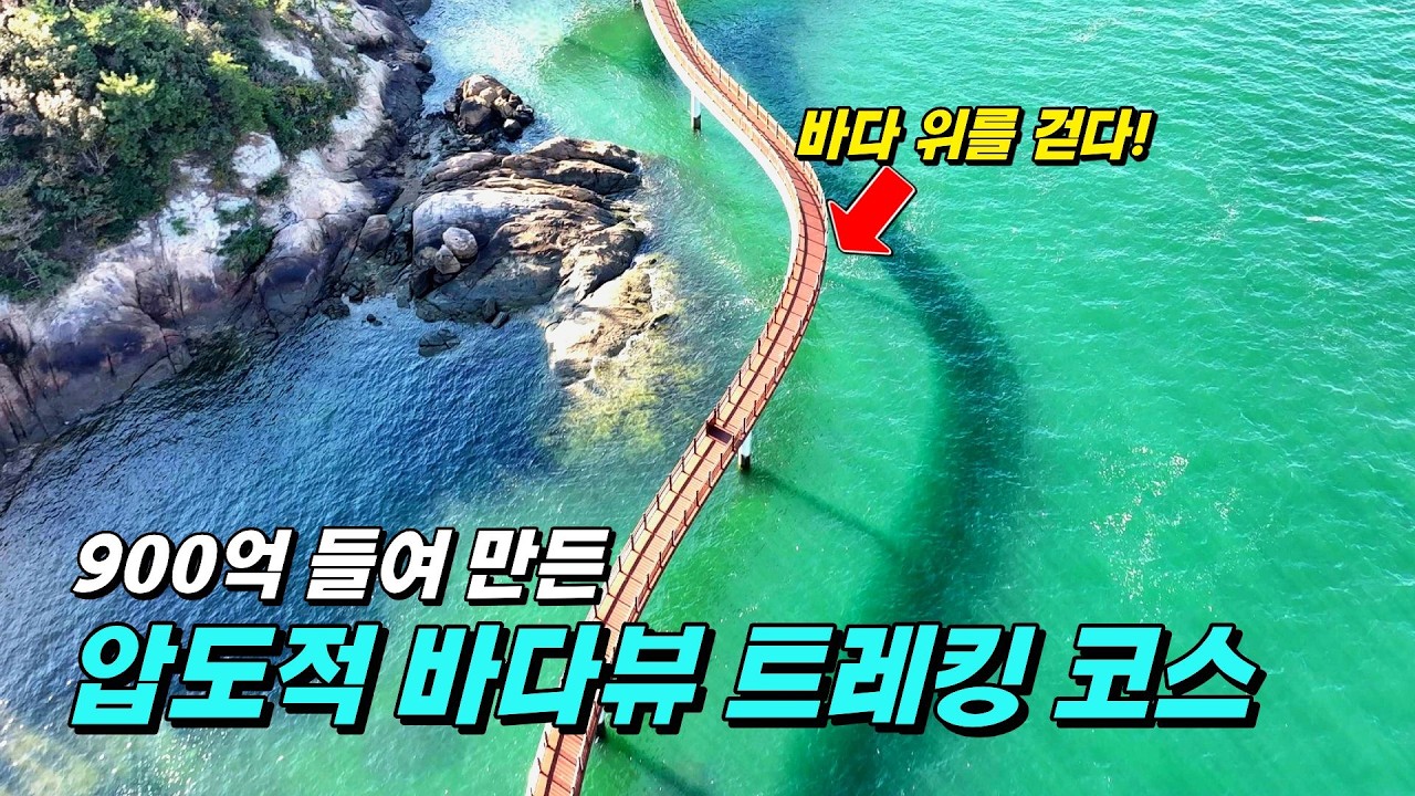 💰 900억 들여 만든 압도적 바다뷰 트레킹 코스, 개장 5년 만에 400만명이 몰린 이유