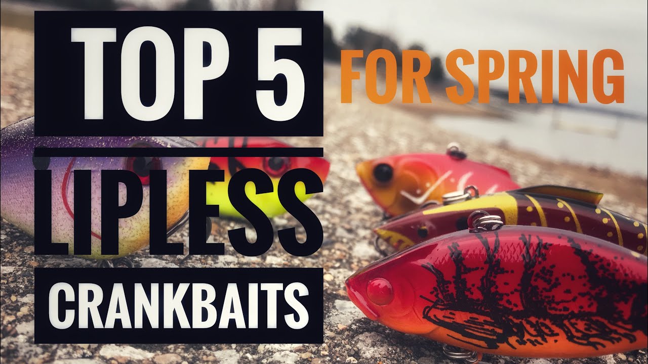 Top 5 Best Lipless Crankbaits for Spring Fishing!
