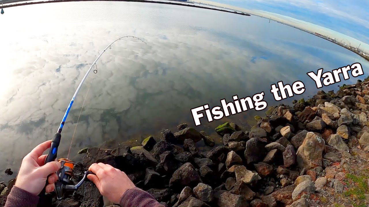 Fishing the Yarra River | fishing the warmies melbourne