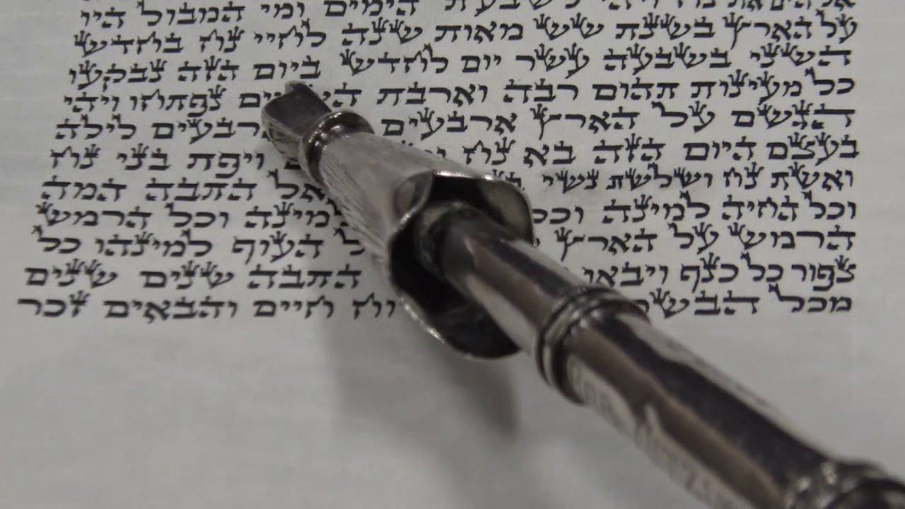 Torah Reading for Parashat Noah Rabbi Moshe Weisblum קריאת התורה לפרשת נח הרב משה ויסבלום