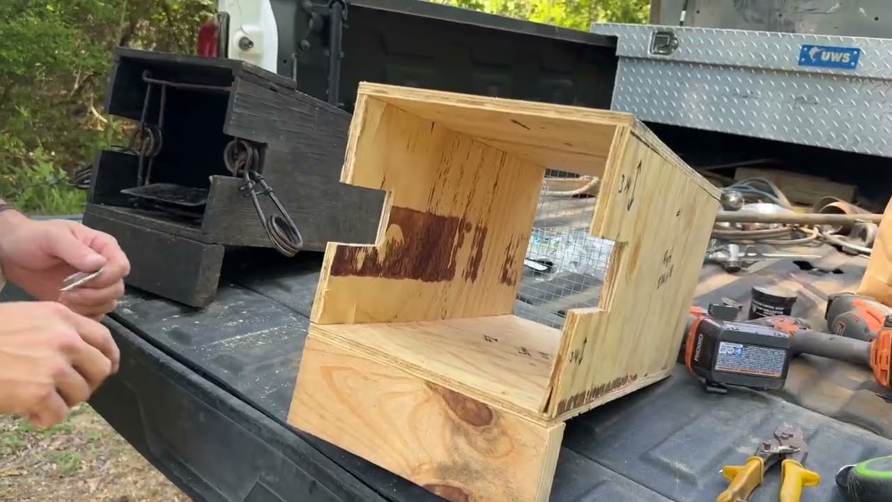 Building Bobcat Trap Box