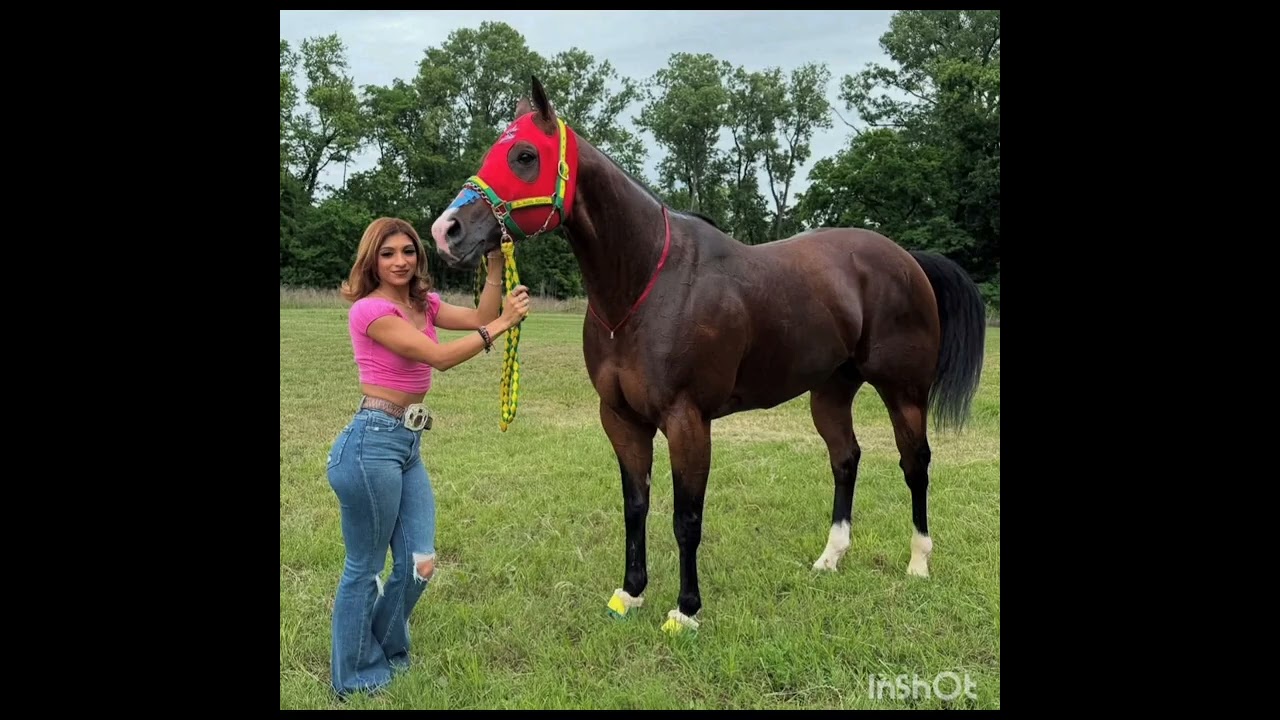 EL CORRIDO DEL CULICHI Y EL PANTERA 