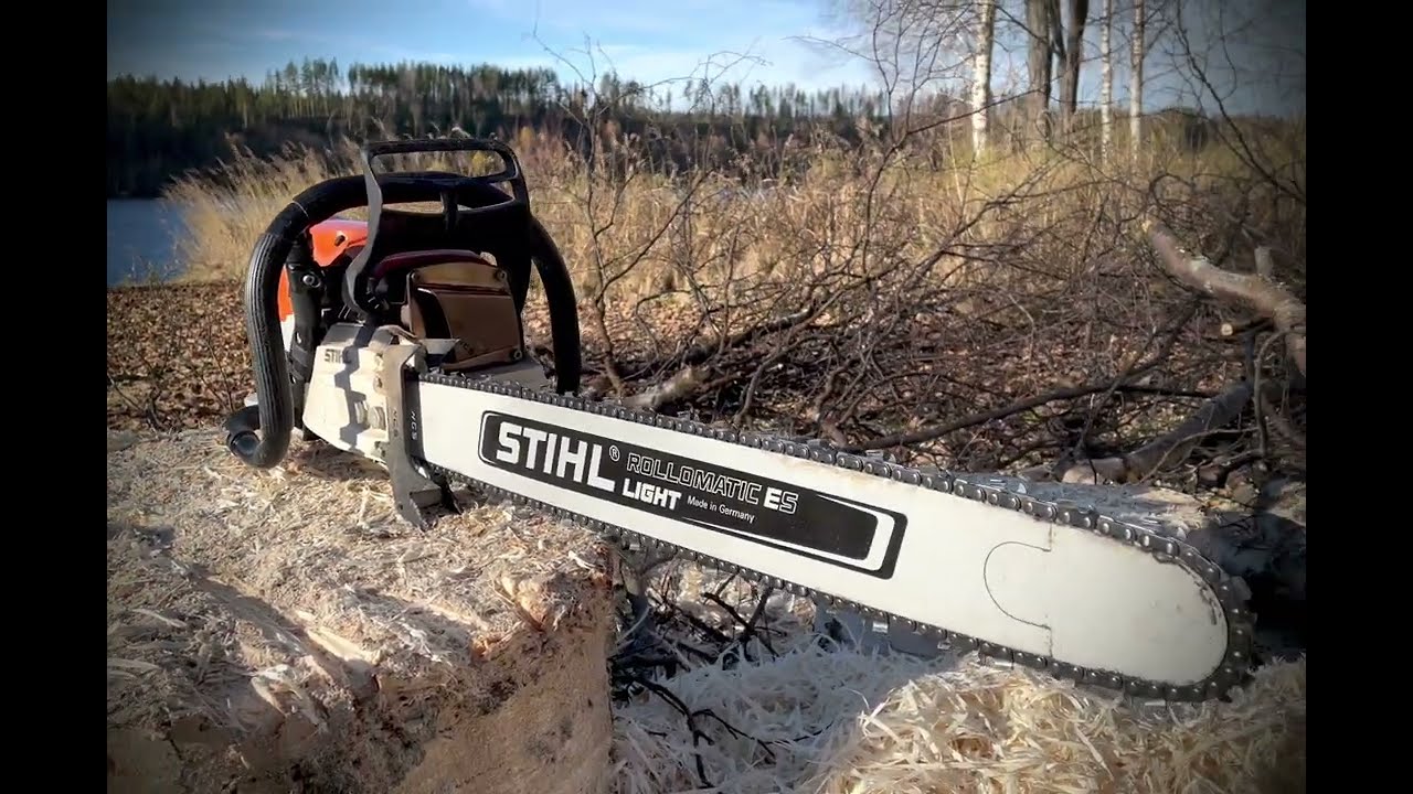 The mighty MS462 pimped with Westcoast saw Barkbox and dogs, idling quietly 🤫☺️ | ChainsawASMR