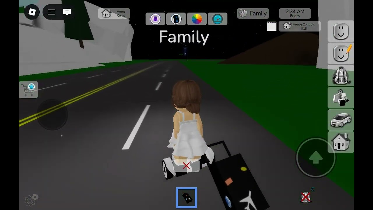 Roblox with my bestie