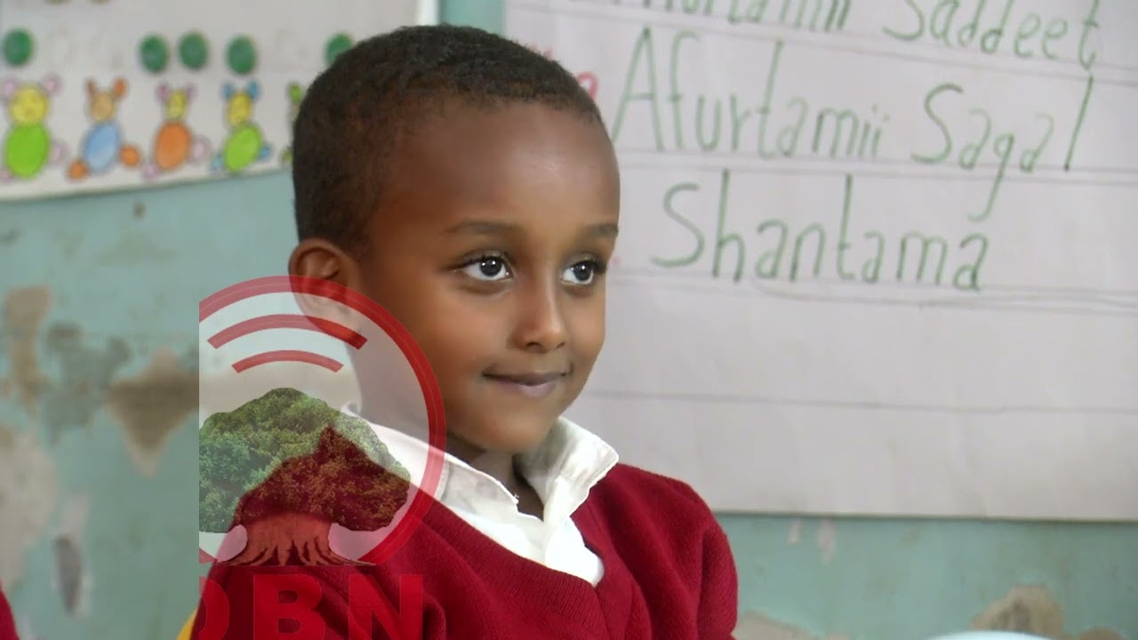 Barnoota Afaan Oromoo Gulantaa 1ffaa OBN Gaammee