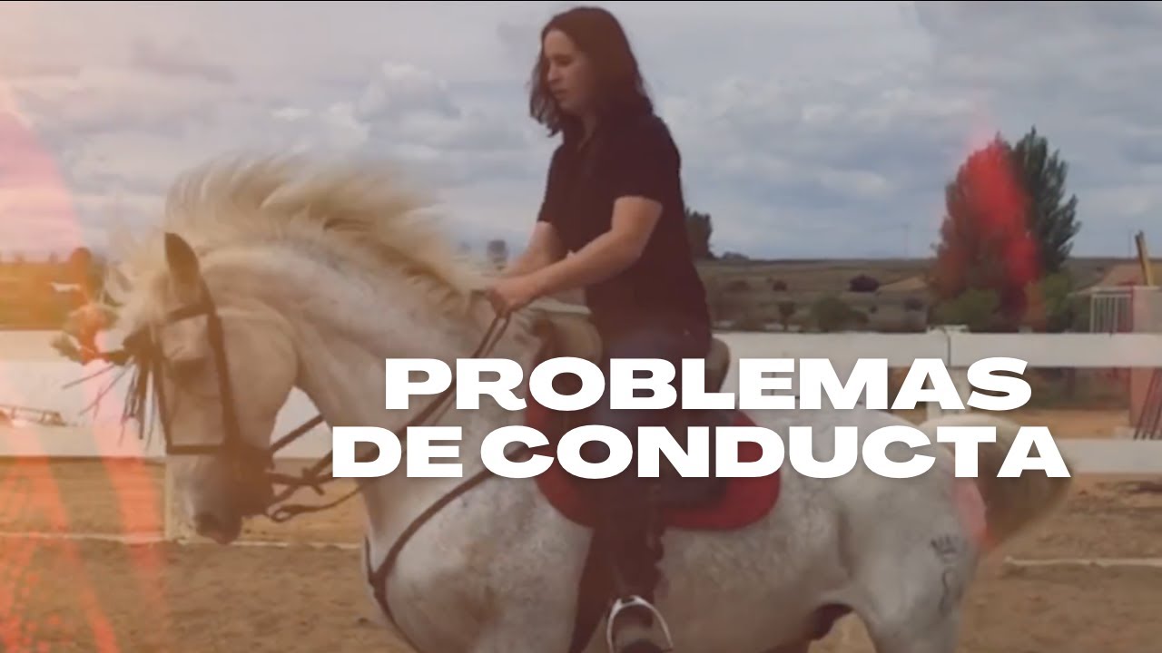 Manejo de Escándalo, caballo con DISTINTOS PROBLEMAS de conducta