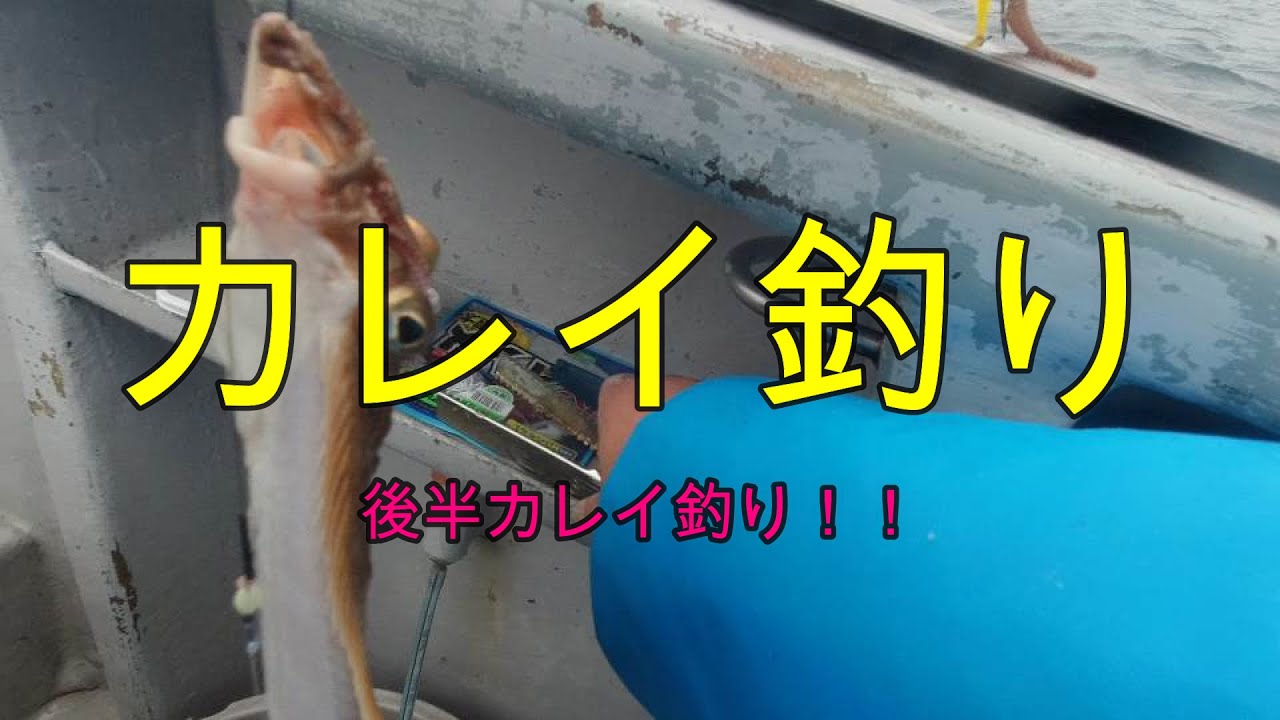 【カレイ】宮城県塩釜からのカレイ狙い　大型漁礁