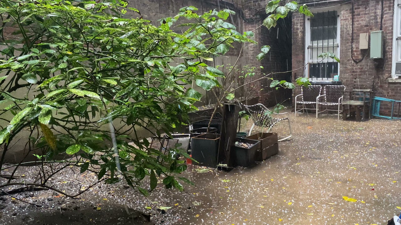 New York Weather: Hail (Nov. 13, 2021)