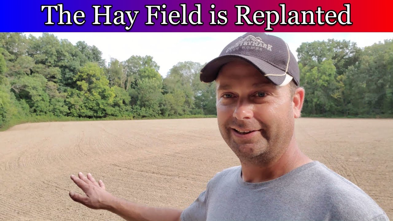 Preparing and planting the hay field after it was accidentally sprayed with herbicide.