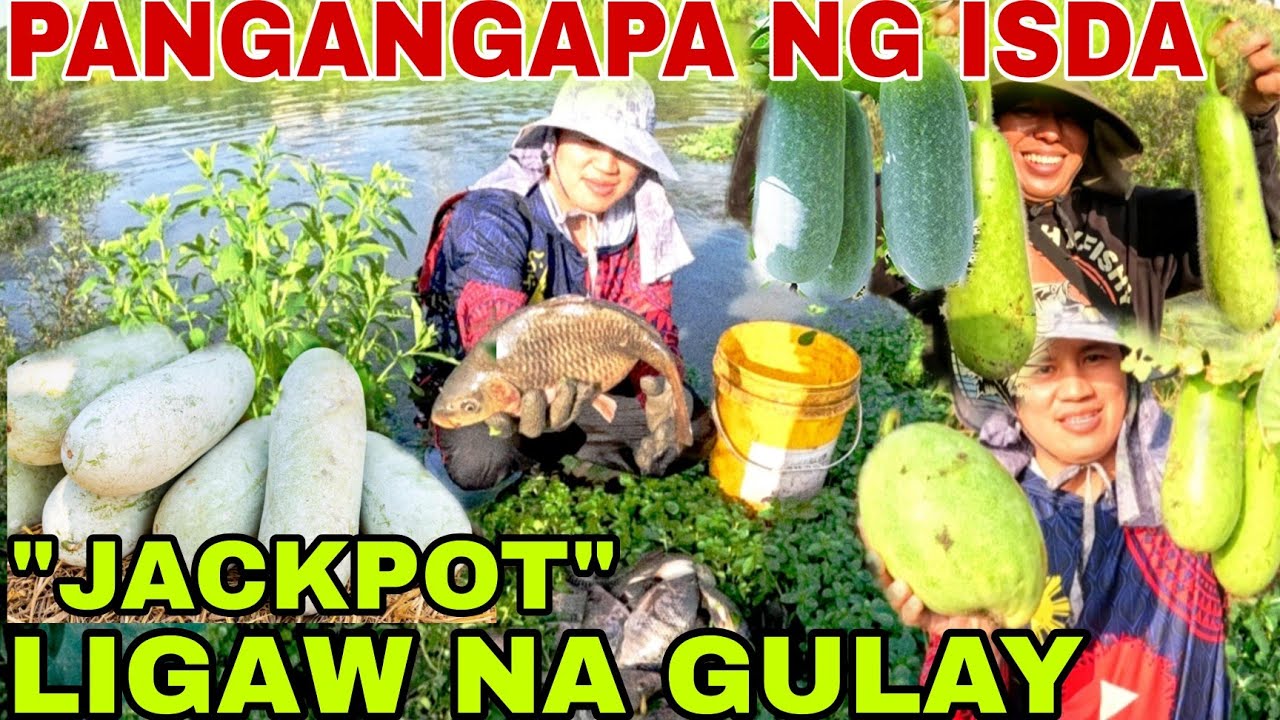 nakatagpo Kami SAKOSAKONG LIGAW na GULAY at ISDA sa ILOG BIG BLESSINGS🙏🎄