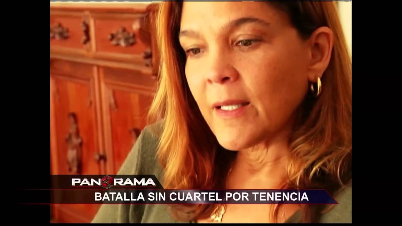 Batalla sin cuartel por tenencia: el dramático caso de María Elena Llanos