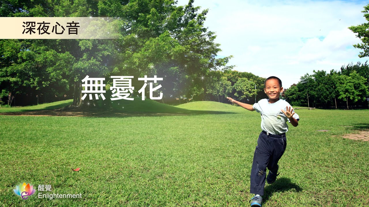 《 深夜心音 _ 無憂花 》