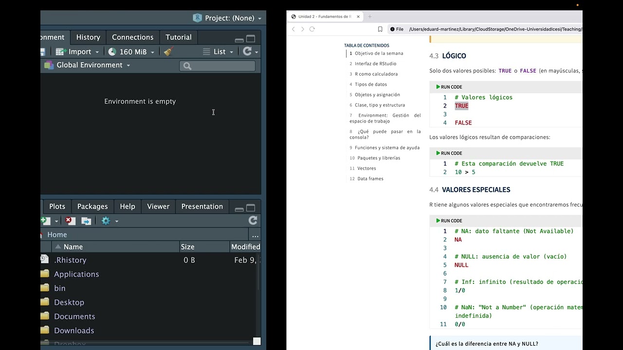 Week 03: Fundamentos de R y Programación