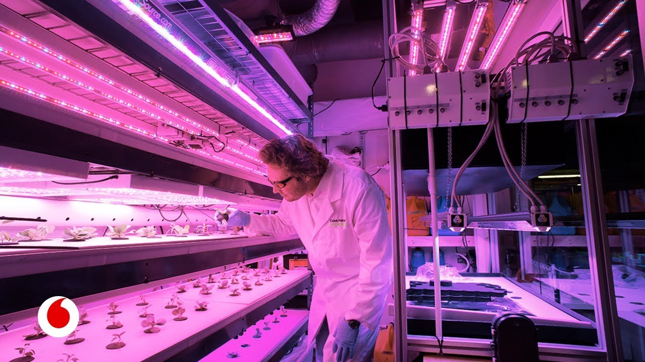 Agricultura digital: el futuro de la alimentación pasará por cultivar en casa