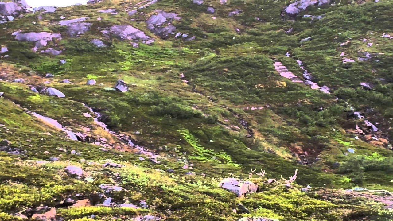 Valnesvatnet - Lurfjellhytta - Åselidalen