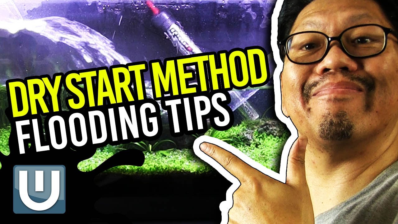 Dry Start Method Flooding Tips - Important and Must Know