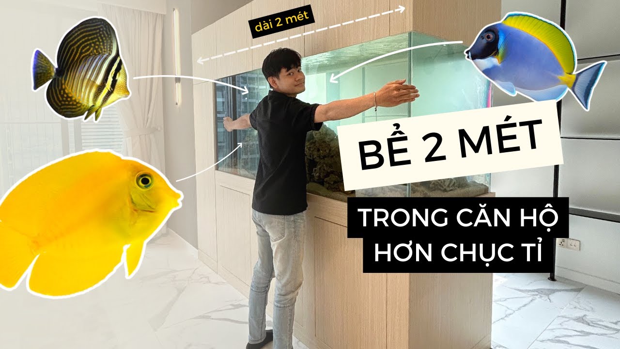 Hành Trình Setup Bể Cá Cảnh Biển 2 Mét Của Team Rin Aquarium